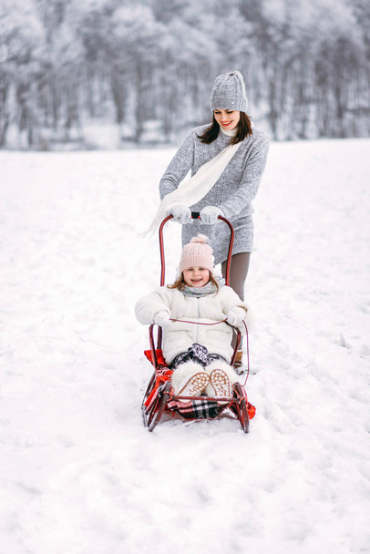Front view of woman sledding girl in winter park - Foto, Imagen