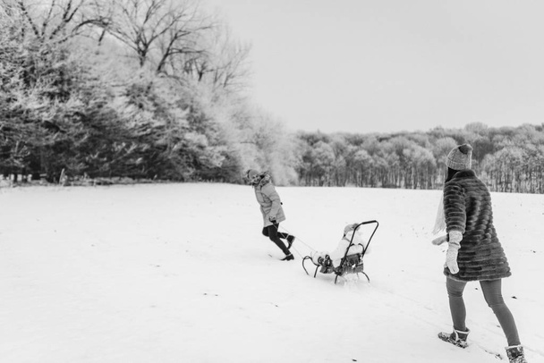 View of father sledding daughter and mother behind - Photo, Image