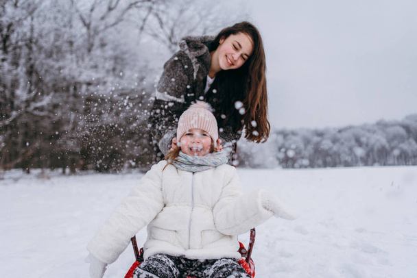 Старшая сестра катается на санках с младшей сестрой и веселится в зимнем парке
 - Фото, изображение