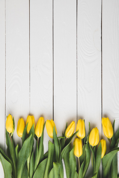 Draufsicht auf schön blühende gelbe Tulpen auf weißer Holzoberfläche     - Foto, Bild