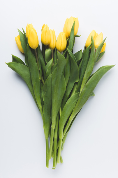 beautiful blooming yellow tulip flowers isolated on grey  - Photo, Image