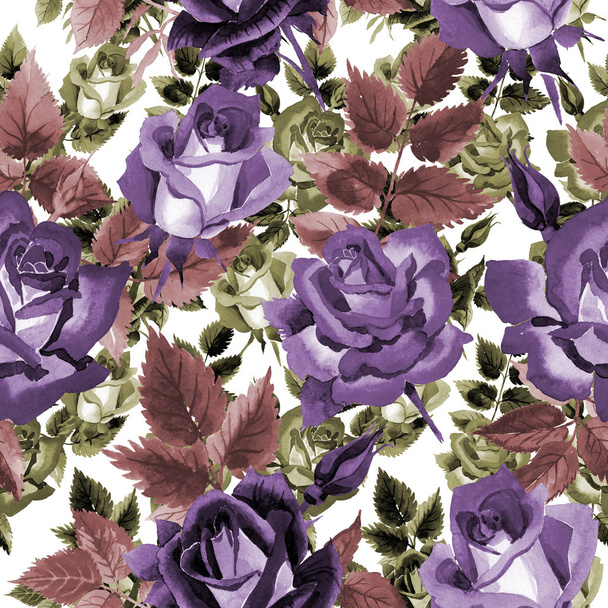 Wildflower two-color dark red rose flower pattern in a watercolor style. - 写真・画像