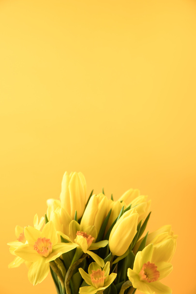 vue rapprochée de belles fleurs jaunes de printemps isolées sur jaune
 - Photo, image