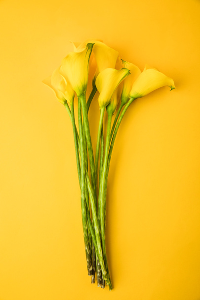 close-up view of beautiful yellow spring flowers isolated on yellow - Foto, imagen