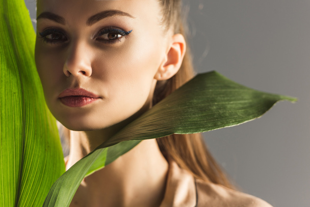 attractive trendy girl with green leaves looking at camera, isolated on grey - Foto, immagini