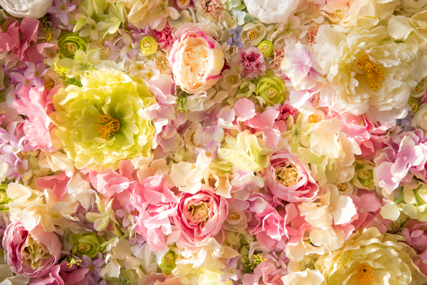 beautiful floral background with tender flowers - Photo, Image