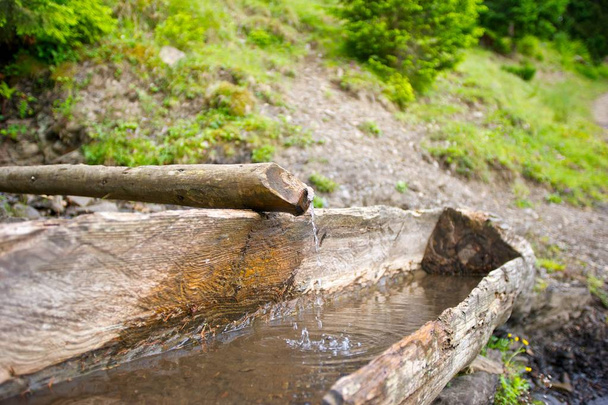 Wooden water trough and source in the mountains. Green grass and plants in background. - Photo, Image