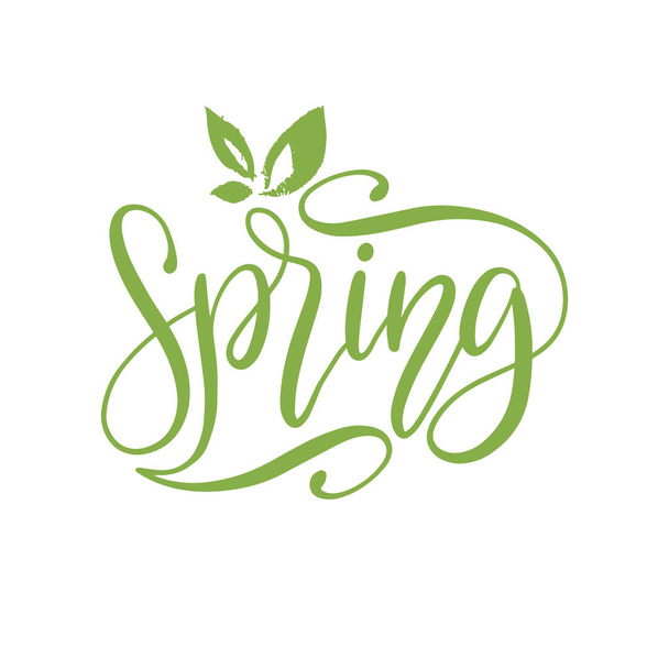 Hand lettering Hello Spring. Vector inspirational phrase on white background. - Vecteur, image