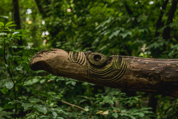 Maori Holzskulptur im Wald - Foto, Bild