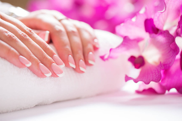 Closeup shot of beautiful female dands with nails of france manicure. Manicure and spa concept - Zdjęcie, obraz