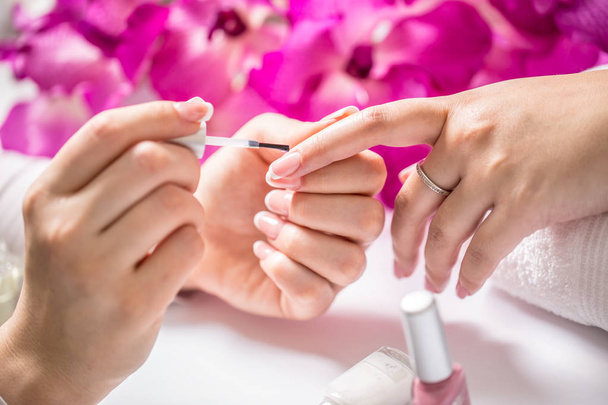 Manicure specialist painting woman gel nail. Art - French manicure - Zdjęcie, obraz