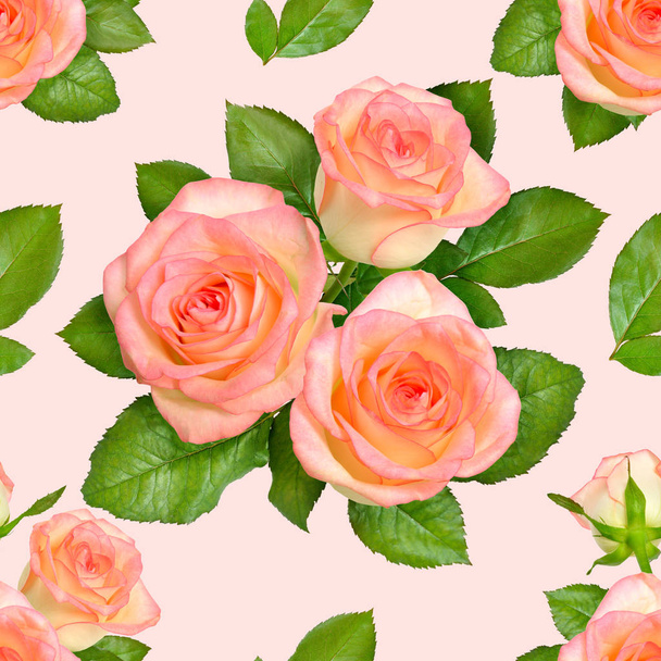 Seamless background with Pink roses - 写真・画像