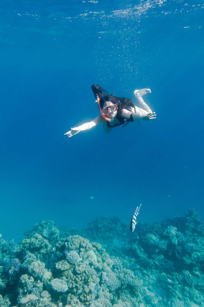 Girl in swimming mask diving in Red sea near coral reef - Foto, Imagem