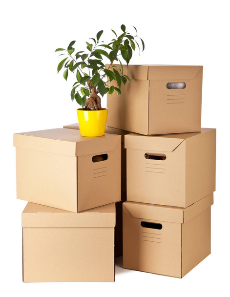 Cardboard boxes on white background - Photo, Image