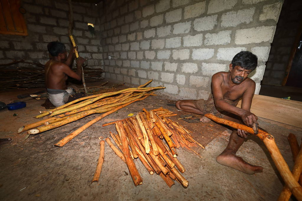 Производство корицы в Шри-Ланке
 - Фото, изображение