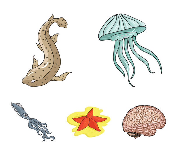 Jellyfish, squid and other species.Sea animals set collection icons in cartoon style vector symbol stock illustration web. - Vektor, obrázek