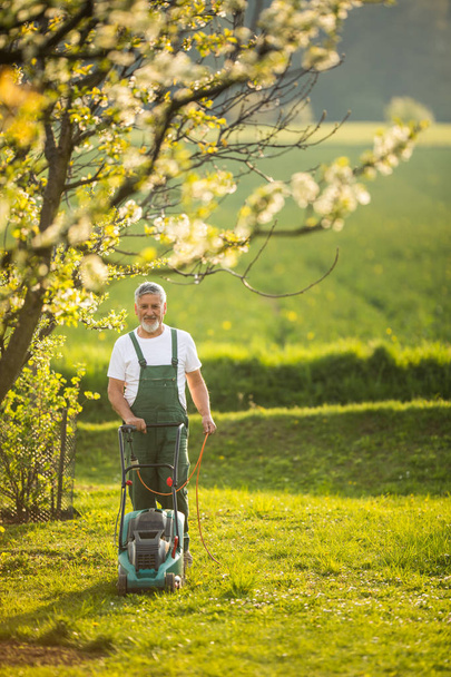 Portrait of senior man gardening, taking care of his lovely orchard - Foto, immagini