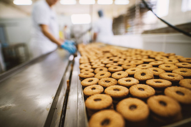 cookies productieproces in de fabriek, voedingsindustrie. Veel cookies op dienblad - Foto, afbeelding
