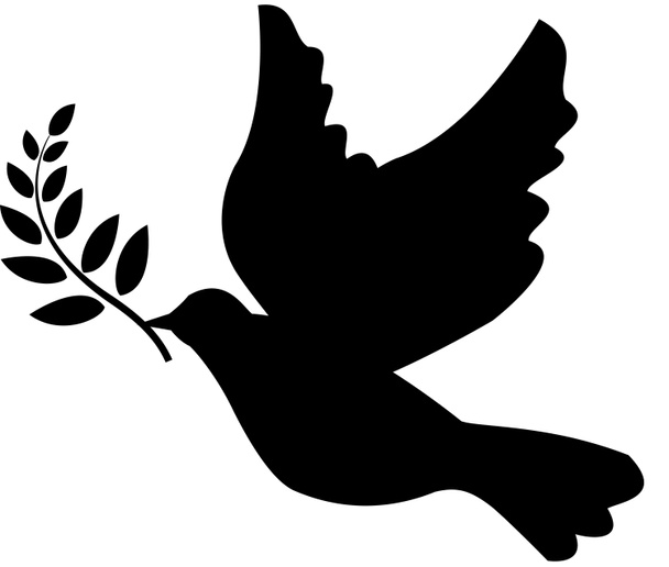 Peace Dove symbol with olive branch - Photo, Image