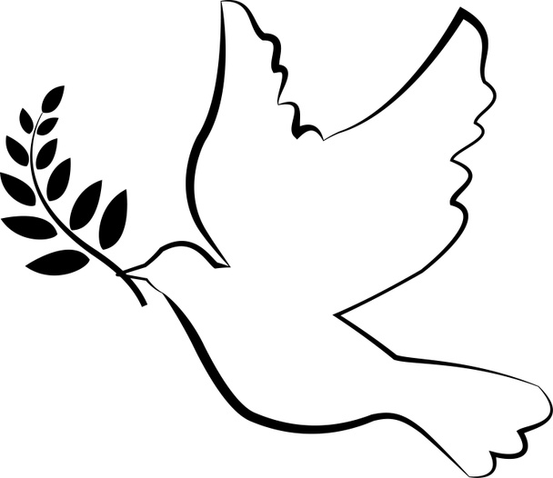 Dove symbol with olive branch - Photo, Image