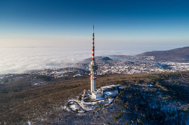 TV tower in forest - Photo, Image