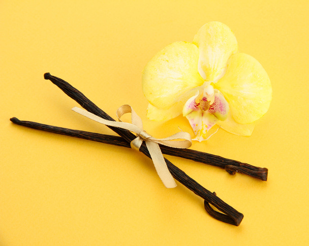 Vanilla pods with flower, on yellow background - Foto, afbeelding