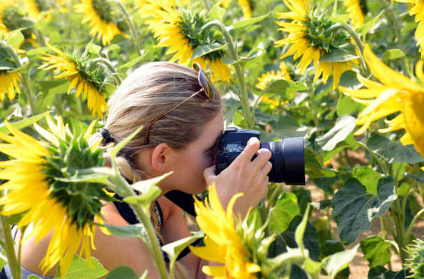Femme prenant des photos de champ de tournesol avec appareil photo numérique
. - Photo, image
