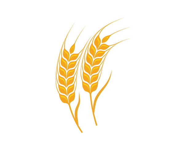Zemědělství pšenice šablona vektorové ikony designu  - Vektor, obrázek