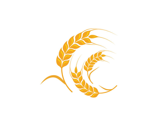Agriculture wheat Template vector icon design  - Vector, Image