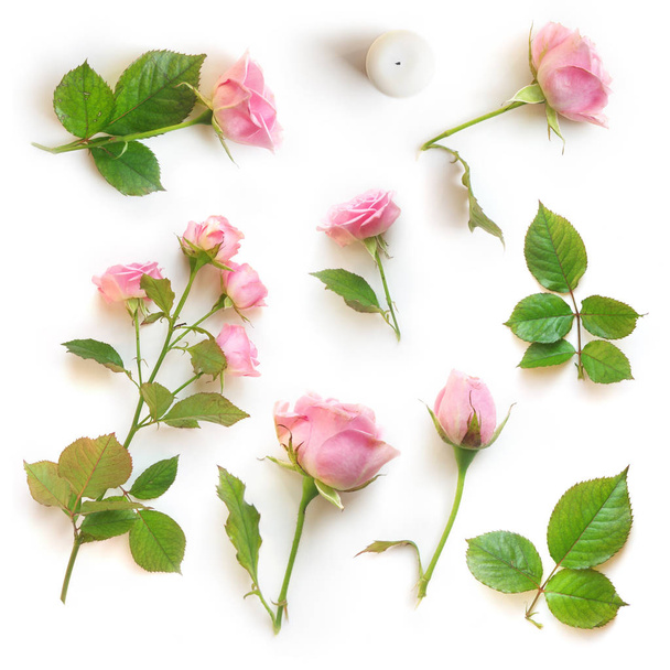 Set of beautiful pink roses isolated with shadow on a white background - Фото, изображение