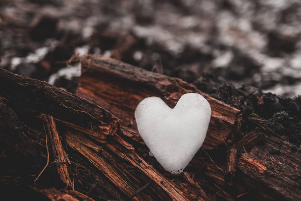 heart of ice warm - Foto, afbeelding