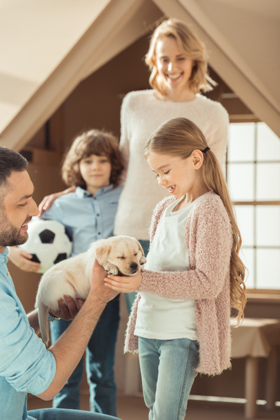 güzel genç ailesi ile karton evin önünde labrador köpek yavrusu - Fotoğraf, Görsel