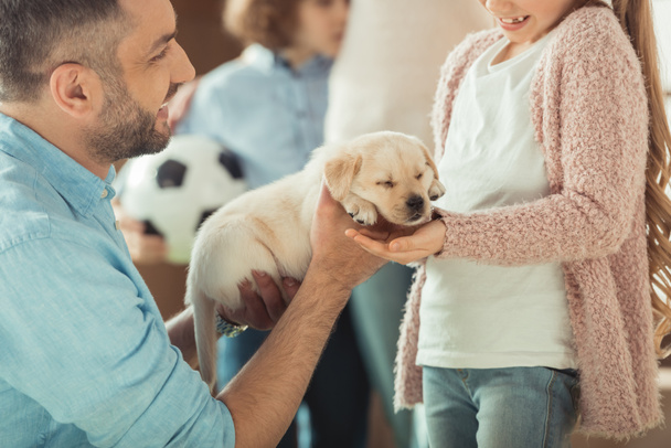 otec dává jeho dcera rozkošný labrador štěně - Fotografie, Obrázek