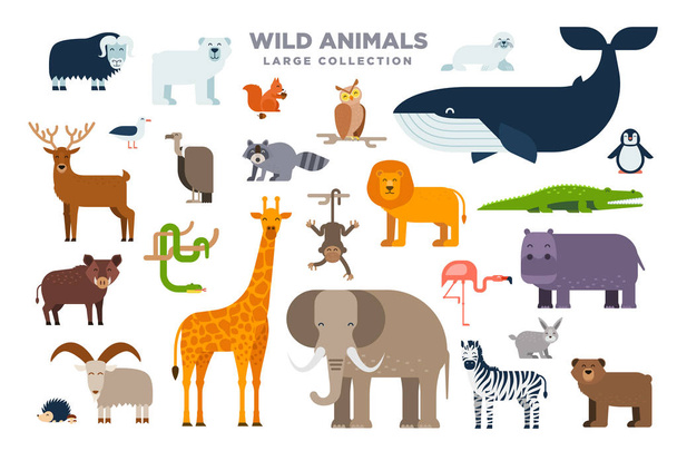 The large set of wild animals in flat design isolated on white background. Elephant, lion, whale, giraffe, zebra and other animals vector flat illustration - Vector, Image