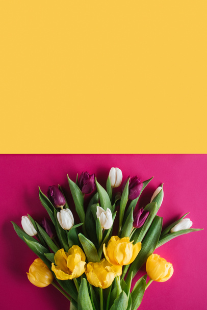 top view of fresh spring tulips for international womens day  - Photo, Image