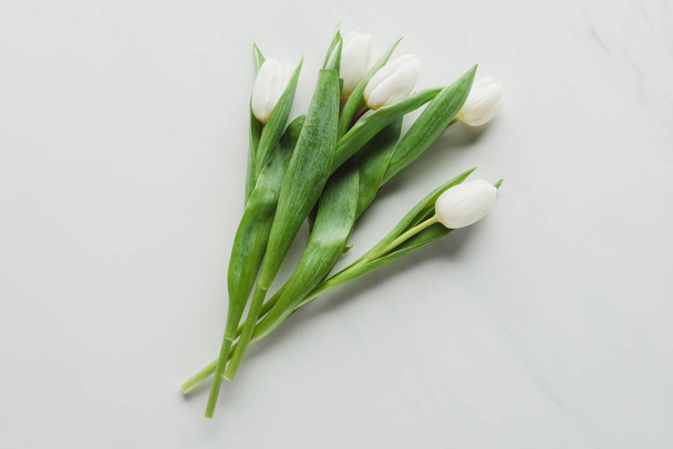 κάτοψη της ανθοδέσμης των λουλουδιών τουλίπα λευκό σε λευκό   - Φωτογραφία, εικόνα