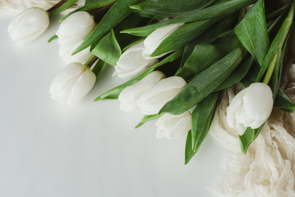 白のチューリップの花が白で隔離の平面図   - 写真・画像