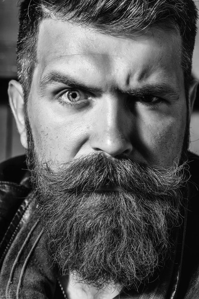 Frown bearded man hipster - Photo, image