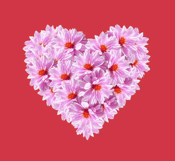 Srdce růžové květy na červeném pozadí - Fotografie, Obrázek