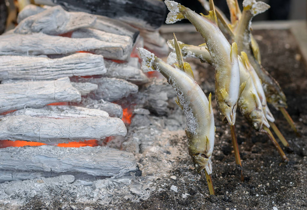 Pescado de trucha a la parrilla en venta en Kegon Waterfall, Nikko, Tochigi, Japón
. - Foto, imagen