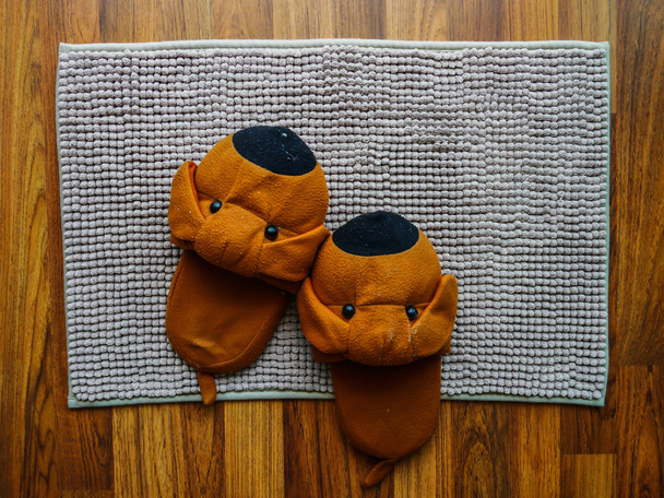 Brown dog slipper - Fotoğraf, Görsel