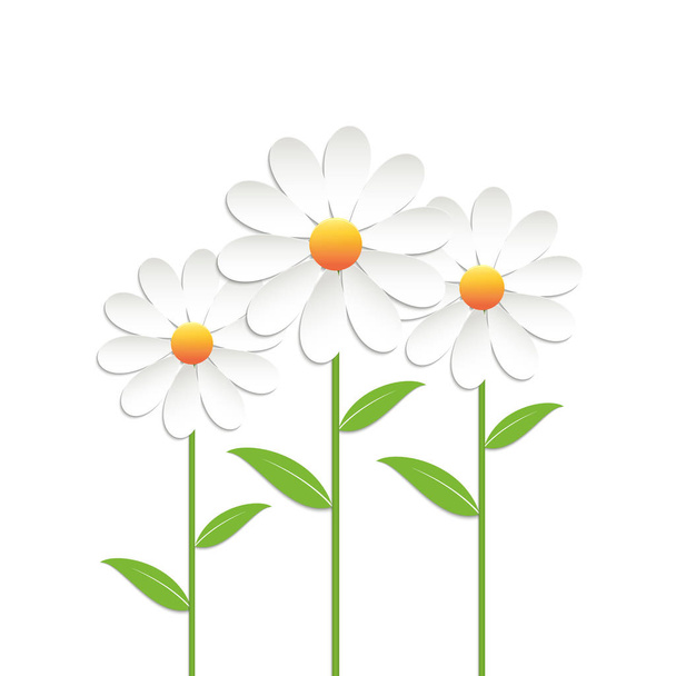 Chamomile flowers - Διάνυσμα, εικόνα