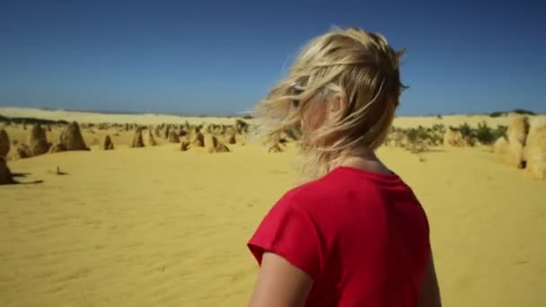 Zinnen Wüste aus nächster Nähe Spaziergang - Filmmaterial, Video