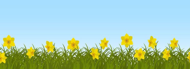Κίτρινο daffodils σε πράσινο γρασίδι σε φόντο μπλε του ουρανού. Στα σύνορα. Λουλούδια άνοιξης. Μπορεί να χρησιμοποιηθεί ως δείγμα άνευ ραφής. Εικονογράφηση διάνυσμα - Διάνυσμα, εικόνα