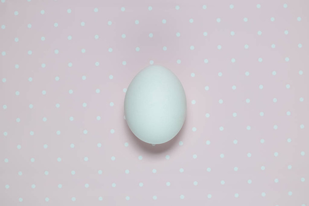 Flat lay of one egg on bright polka background - 写真・画像