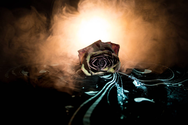 Увядающая роза означает потерянную любовь, развод или плохие отношения, мертвая роза на темном фоне с дымом
 - Фото, изображение