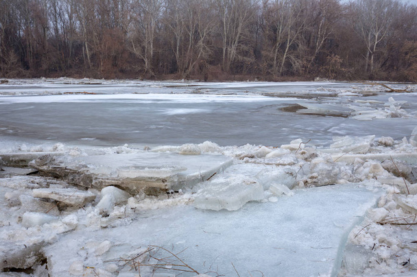 春の洪水、川の流氷 - 写真・画像