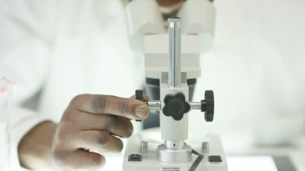 4K Close up of medical researcher working in the lab looking into microscope - Filmmaterial, Video