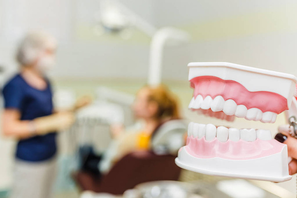 Dentiste montrant un modèle de dents et de mâchoire à sa patiente à la clinique de stomatologie
 - Photo, image