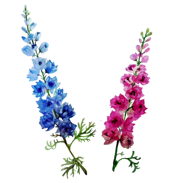       Watercolor flowers delphinium vector                          - Διάνυσμα, εικόνα